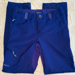 Patagonia Royal Blue Outdoor Hiking Climbing Gorpcore Pants